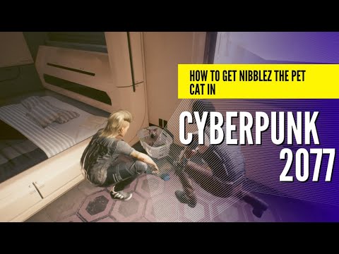 Cyberpunk 2077 - How to get Nibblez the PET CAT