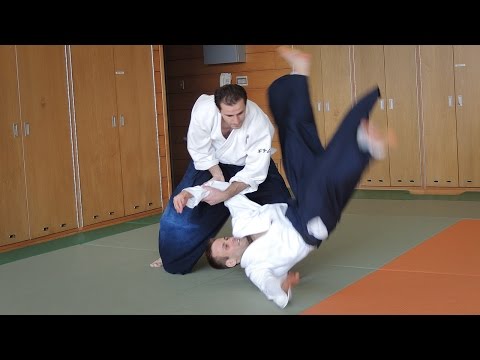 Aikido - Guillaume Erard 4e Dan Aikikai (juillet 2014)