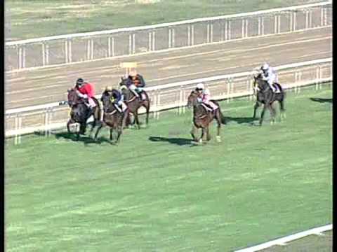 Gróf Károlyi Gyula Emlékverseny (Listed) 1300m