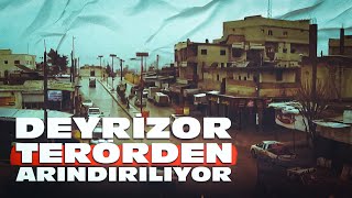 Suriye'nin kuzeyi terörden temizleniyor