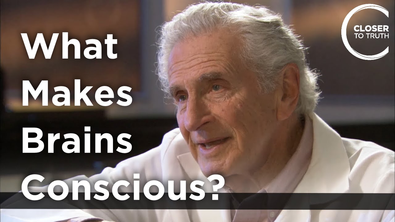 Arnold B. Scheibel - What Makes Brains Conscious?