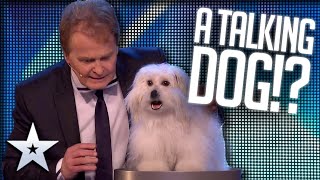 Marc and Wendy blow everyones minds! | Britain's Got Talent | #shorts