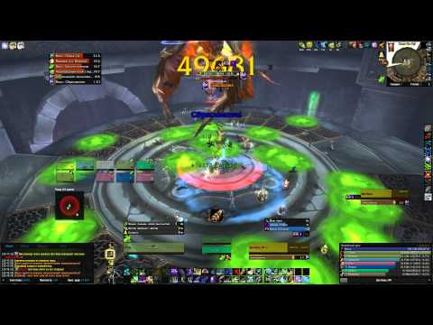 Ji-Kun 10 ppl Heroic Hunter PoV