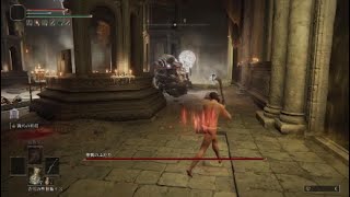 [エルデンリング]神肌のふたり　レベル１で挑む 10時間以上戦いました❗