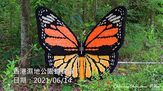 香港濕地公園蝴蝶園