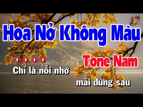 Karaoke Hoa Nở Không Màu Tone Nam | Nhạc Sống Nguyễn Linh