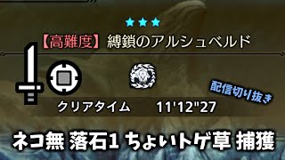 【MHWilds】アルシュベルド 片手剣 ネコ無 落石1 トゲ草 11'12"27 捕獲【OBT】