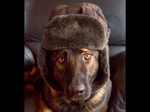 WUSV 2022 team the Netherlands