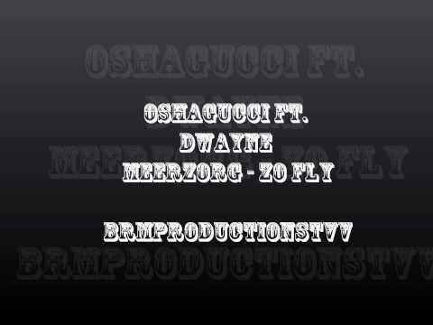 OshaGucci Ft. Dwayne Meerzorg - Zo Fly (+download) (New)