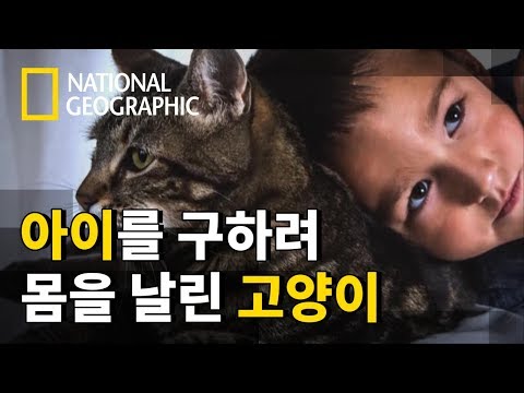 아이콘