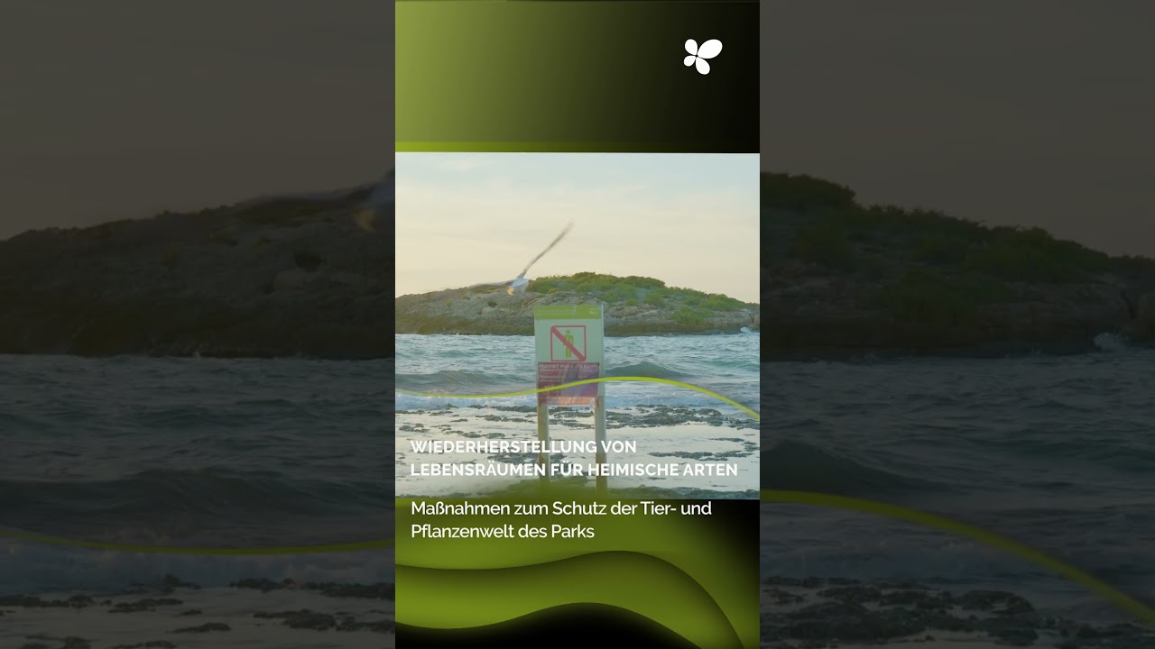 Es Trenc stellt seine Naturräume wieder her und regelt die öffentliche Nutzung des Naturparks