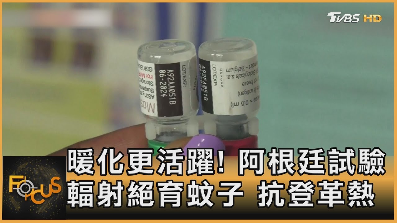 暖化更活躍！阿根廷試驗輻射絕育蚊子　抗登革熱