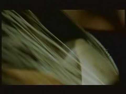 Pull The Wires From The Wall by The Delgados