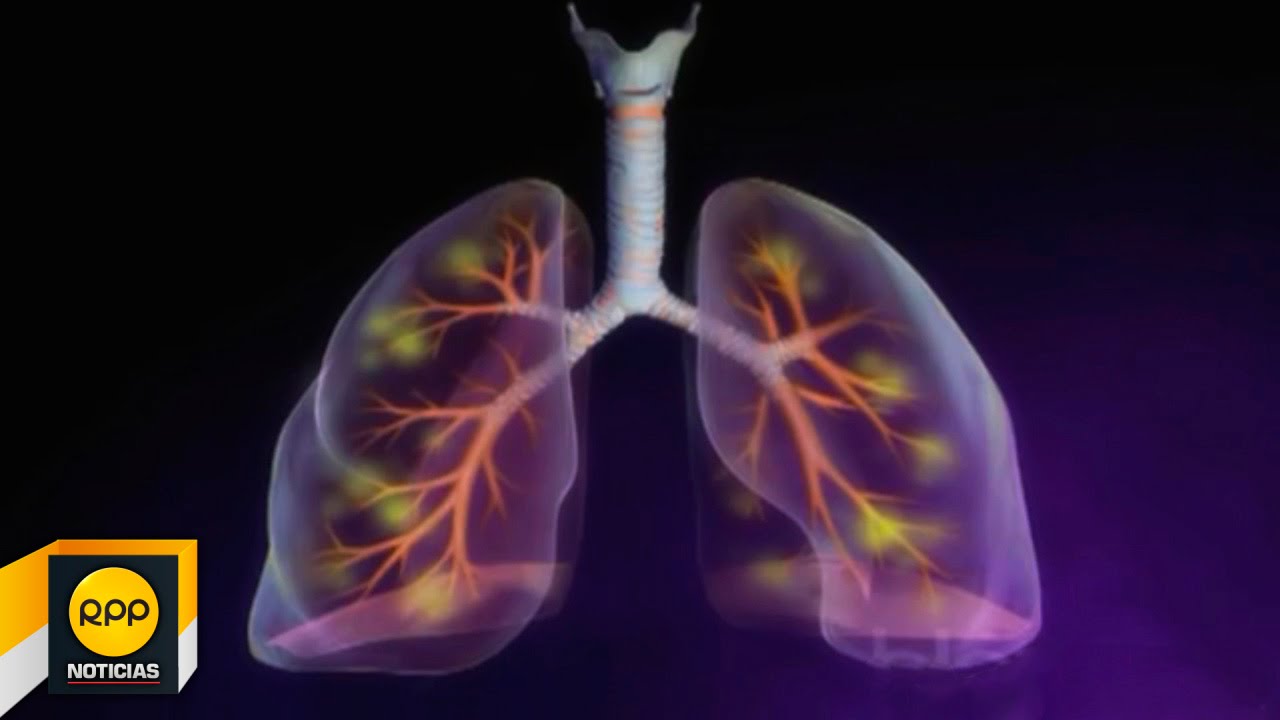 Fernando Roberto Rodriguez Chariarse-7