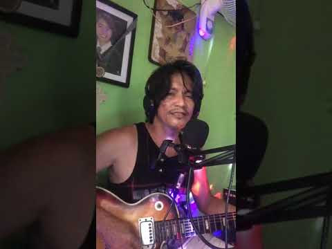 Wonderful tonight cover