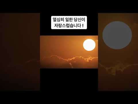 자전거로 응원하는 대한민국