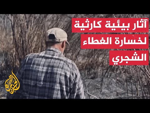 فيديو | غابات سوريا.. الجزيرة ترصد آثار الحرب الطويلة على المساحات الخضراء