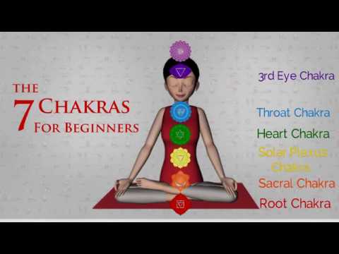 7 Chakras for Beginners