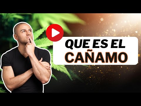 ¿Qué es el cáñamo? En Español