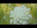 Heavenly Reiki Piano Music With Bell Every 3 Minutes 3 Minute Timer For Yin Yoga Reiki Healing