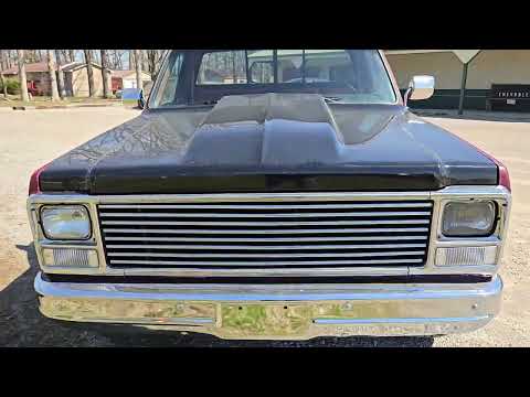 1980 Chevrolet C/K 10 (CC-1936524) for sale in Nashville, Illinois