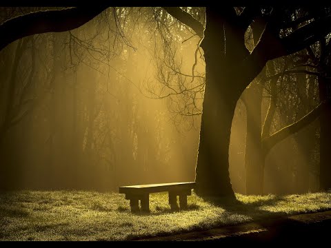 17   My Empty Arms   Jackie Wilson