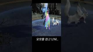 어딘가 이상한 요호 버스기사