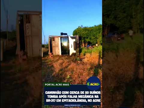 Caminhão com porcos tomba no interior do Acre, em Epitaciolândia