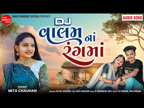 Dj Valam Na Rang Ma - Audio Song || Mita Chauhan || Shree Ramdoot Official