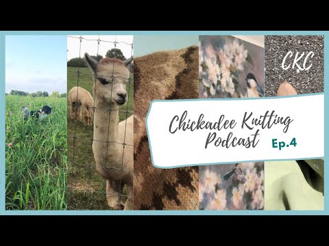 Chickadee Knitting Podcast // Episode four // Little adventures while on fieldwork