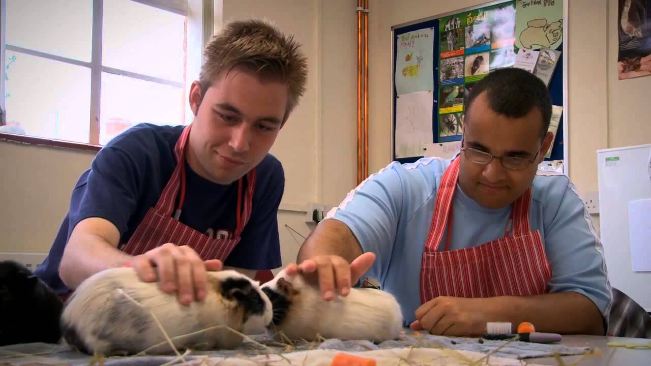 Queen Alexandra College