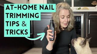 Nail Trimming for Anxious Dogs