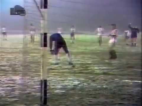 Šestić vs.  Borota