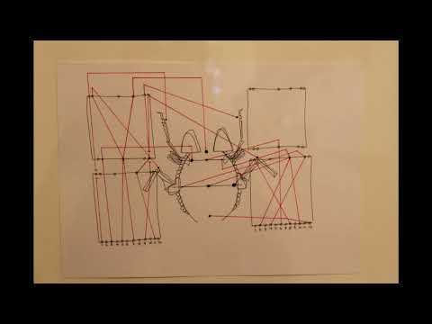 Mild und Leise - Paul Lansky (research)