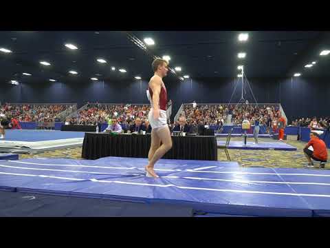 Alex Powarzynski - Vault - 2018 Winter Cup - Finals