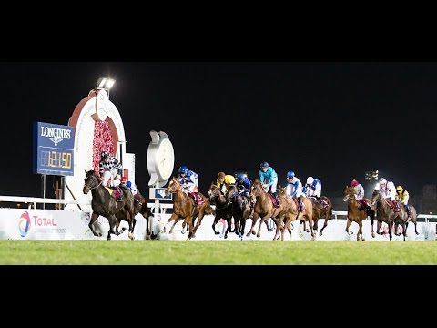 37th Race Meeting of Season 2015/2016