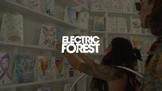 Luminarias in Sherwood Forest - #EF2016 Highlight