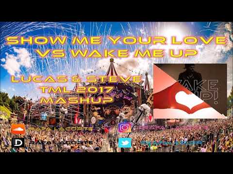 Show me your love vs Wake me up (Lucas & Steve TML Belgium 2017 mashup)