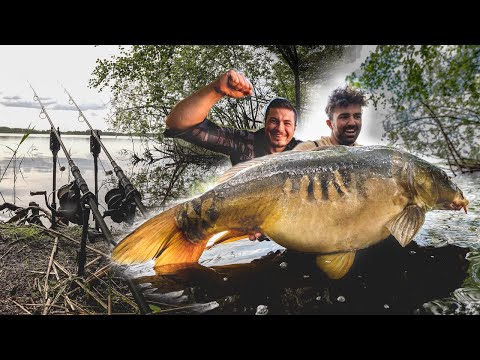 Karpfenangeln am XXL Natursee I feat. Joshinator