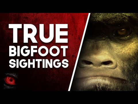 WATCHING FROM THE LAKE - 2 DISTURBING STORIES OF BIGFOOT SIGHTINGS - What Lurks Beneath