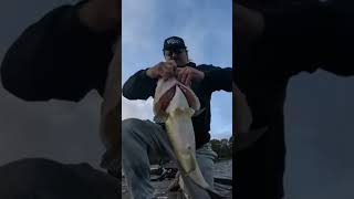 My Biggest Catches Ever!