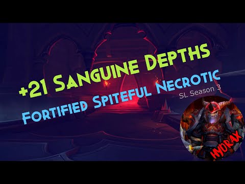 +21 Sanguine Depths Season 3 Protection Paladin POV