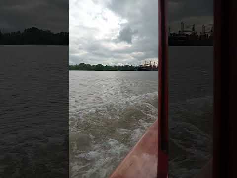 parana de la palmas