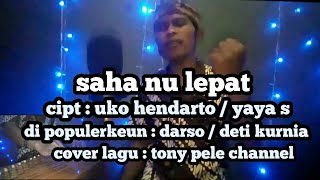 Download lagu Saha nu lepat ( cover lagu ) mp3