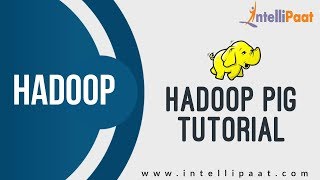 Hadoop Pig Tutorial | Hadoop Tutorial | Online Hadoop Training | Intellipaat