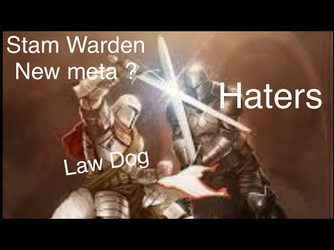 ESO stam warden pvp build with game footage