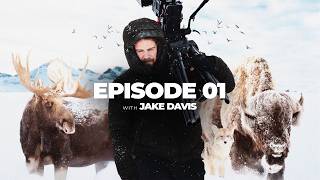 Frozen Yellowstone | A Wildlife Film by BBC Cameraman Jake Davis