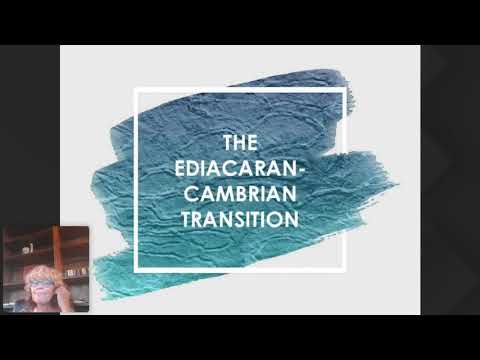 An alternative reading of the history of life with Professor Gabriela Mángano