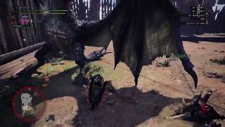 Re: [情報] 本年度狩王決定戰決勝大會停辦