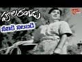 Neethiki Nilabadi Song Poola Rangadu Movie Telugu Old Songs ANR Jamuna Old Telugu Songs